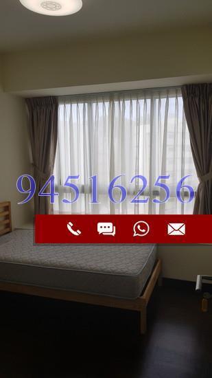 Sophia Residence (D9), Condominium #163422932
